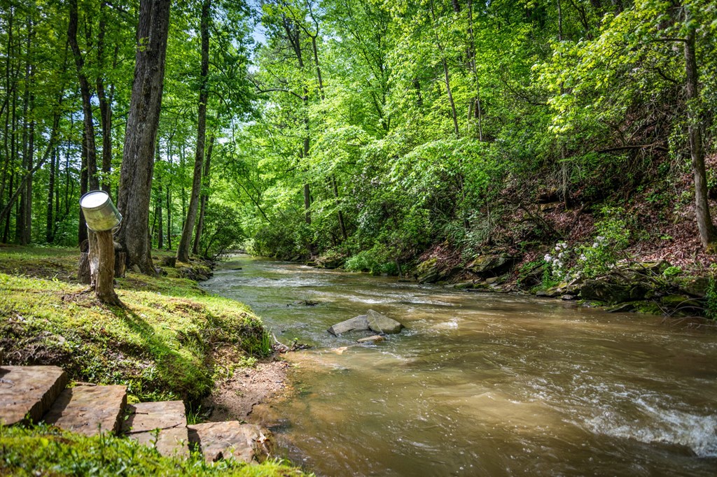 704 Town Creek Church Road