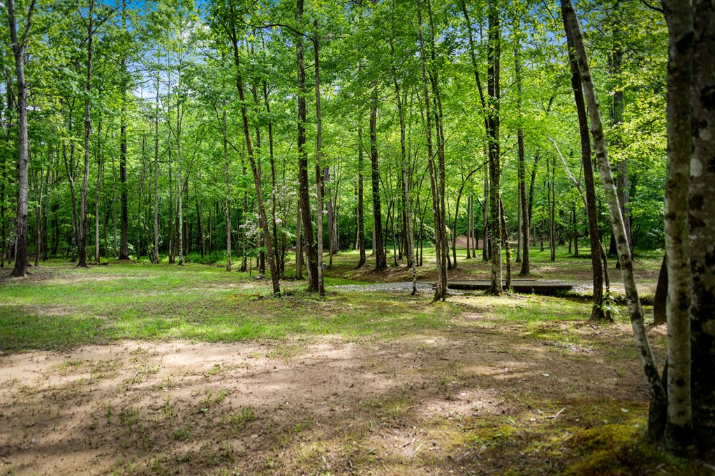 704 Town Creek Church Road