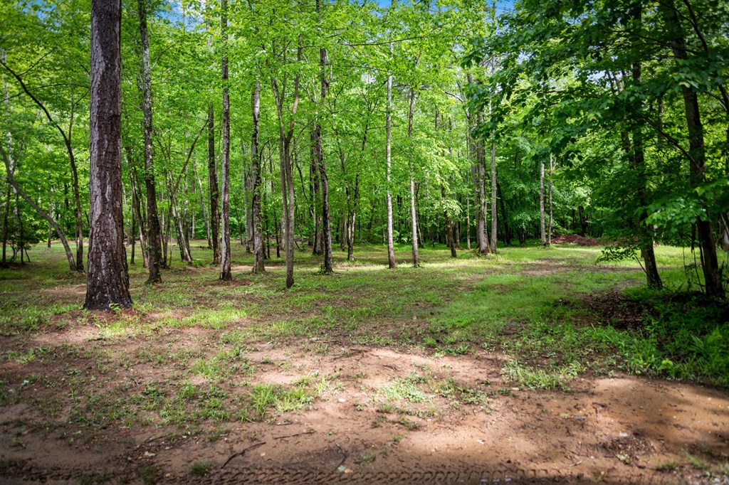 704 Town Creek Church Road