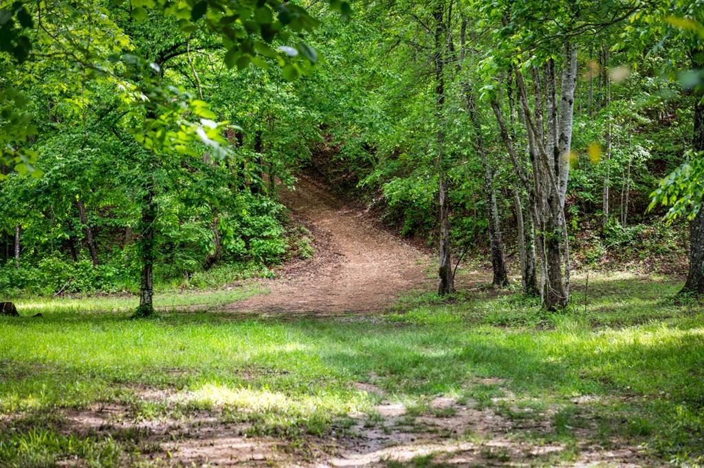 704 Town Creek Church Road