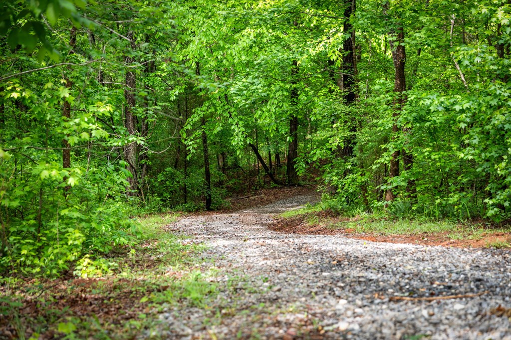 704 Town Creek Church Road