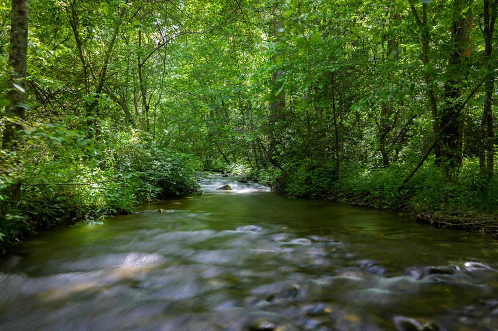 740 Little Rock Creek Road