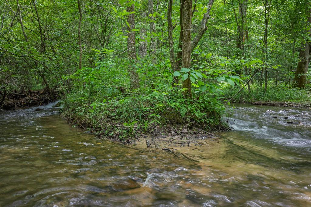 740 Little Rock Creek Road