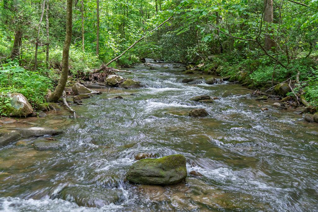 740 Little Rock Creek Road