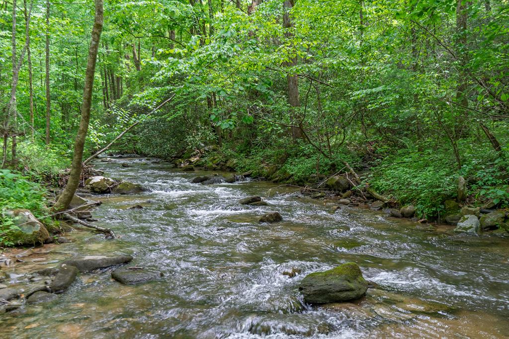 740 Little Rock Creek Road
