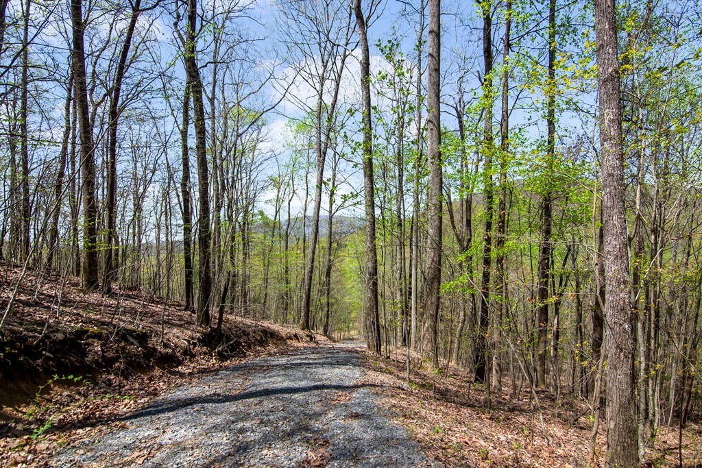 29 AC Hidden Valley Drive