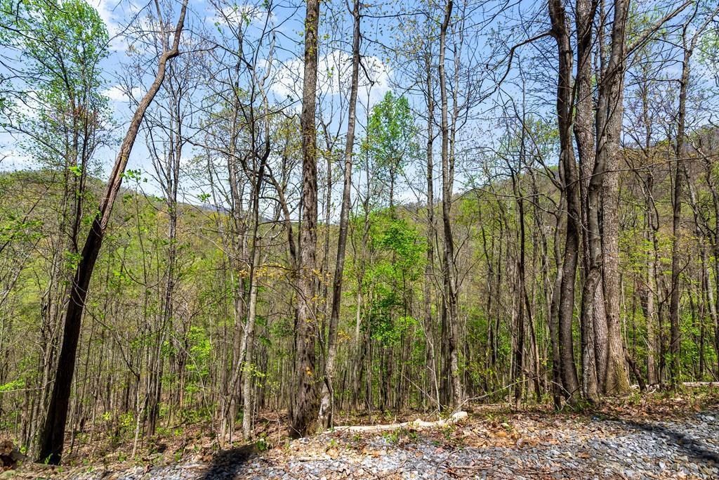 29 AC Hidden Valley Drive