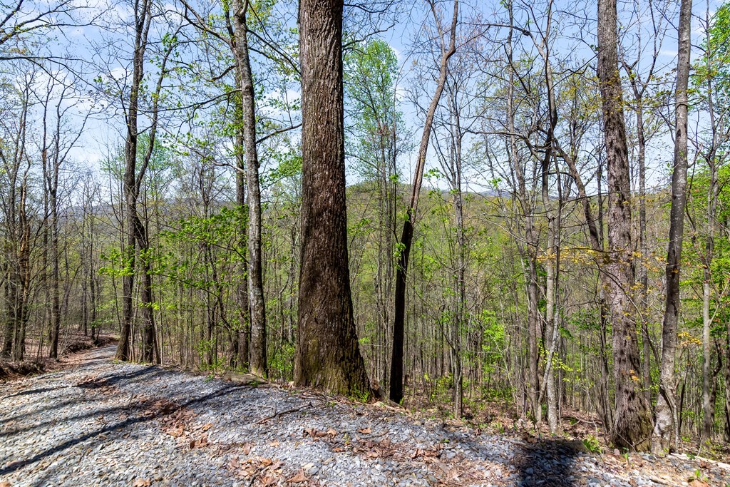29 AC Hidden Valley Drive