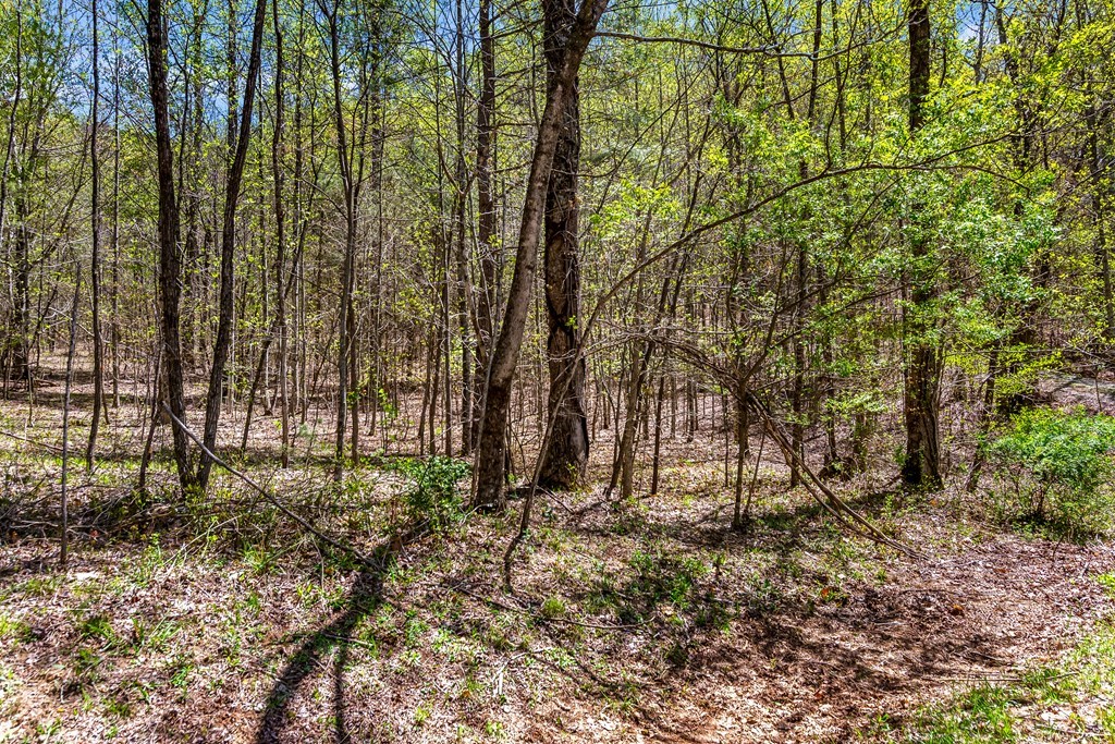 29 AC Hidden Valley Drive