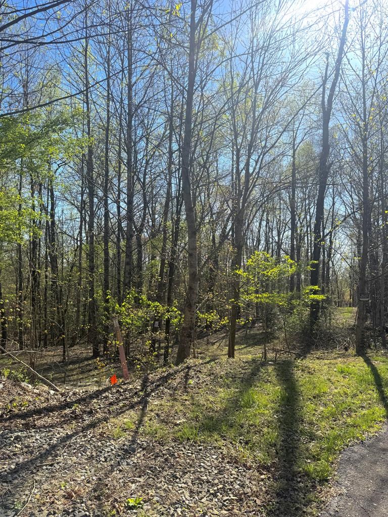 29 AC Hidden Valley Drive
