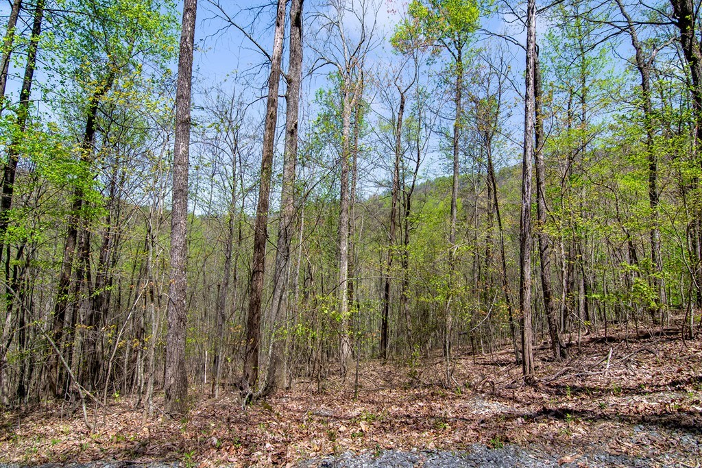 29 AC Hidden Valley Drive