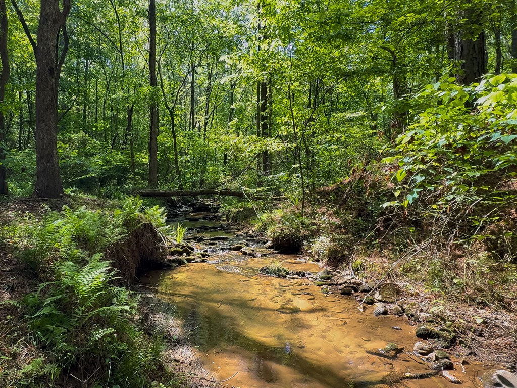 824 Bridge Road