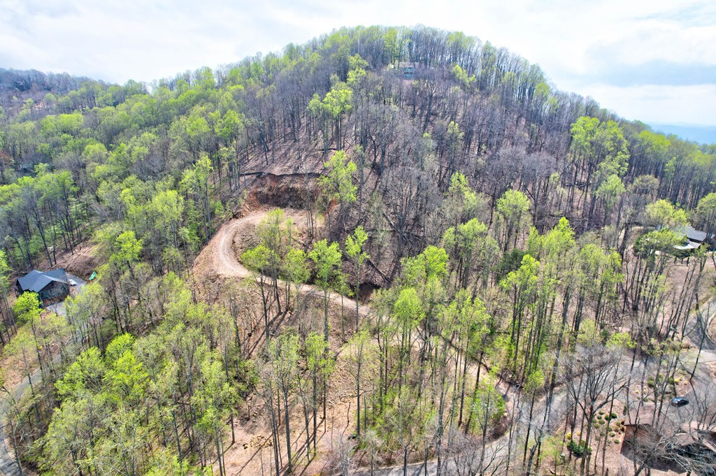 Lt 12&13 Greystone Trace