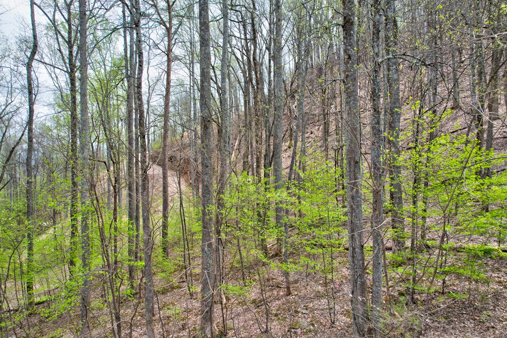 Lt 12&13 Greystone Trace