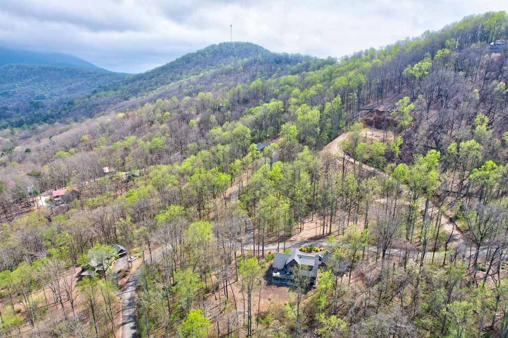 Lt 12&13 Greystone Trace