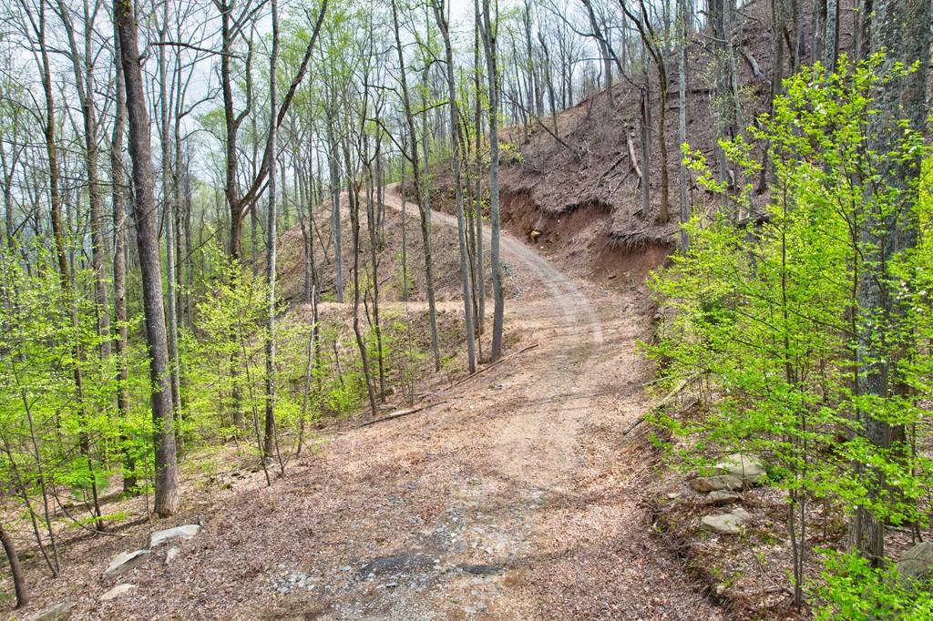 Lt 12&13 Greystone Trace