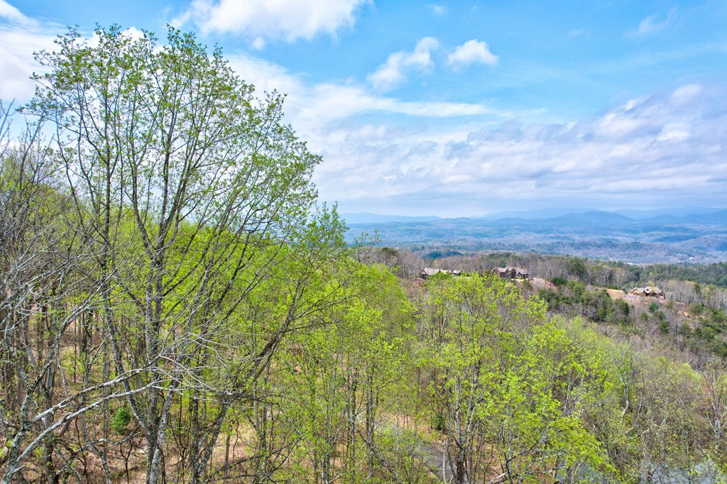 Lt 12&13 Greystone Trace