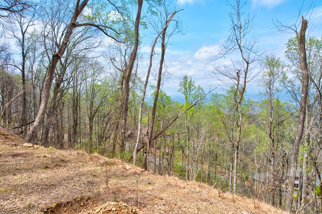 Lt 12&13 Greystone Trace