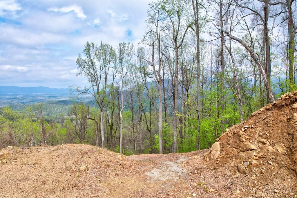 Lt 12&13 Greystone Trace