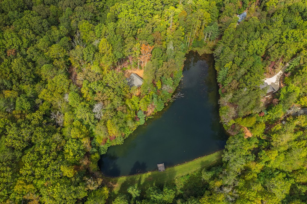 85 Moreland Trail