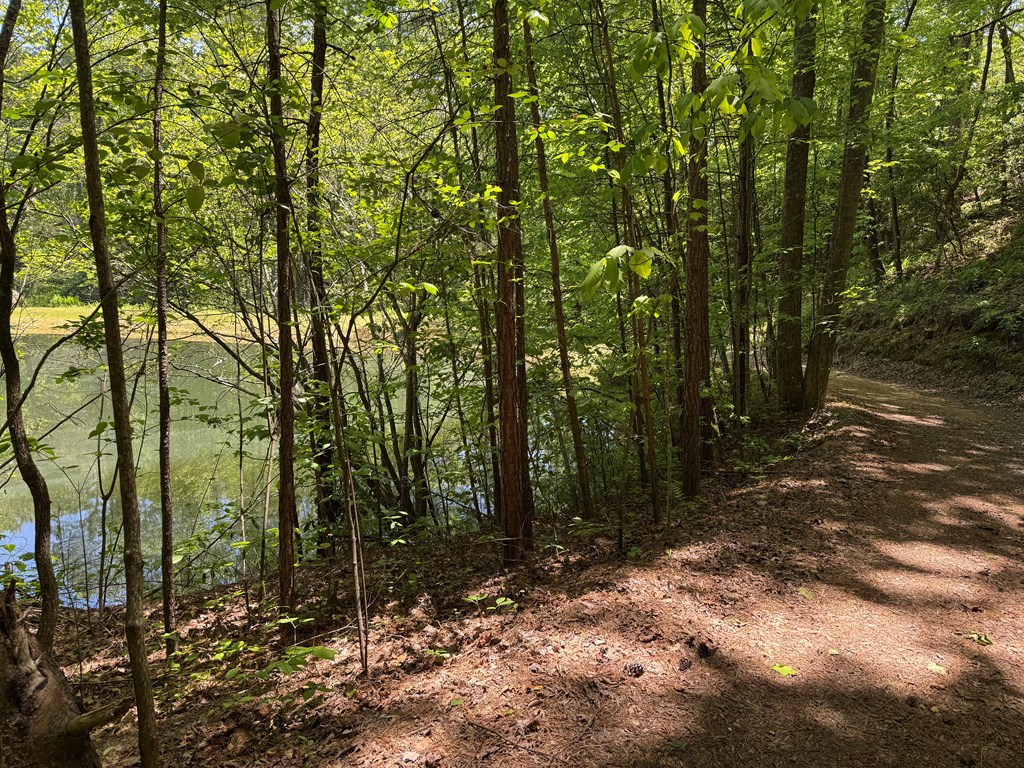 85 Moreland Trail