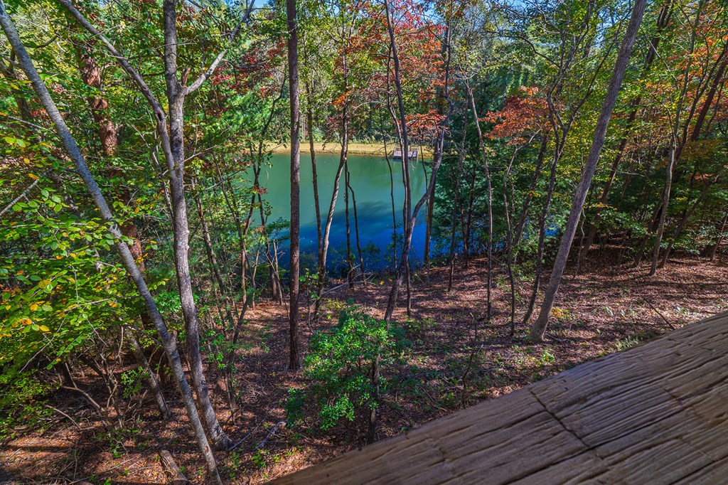 85 Moreland Trail