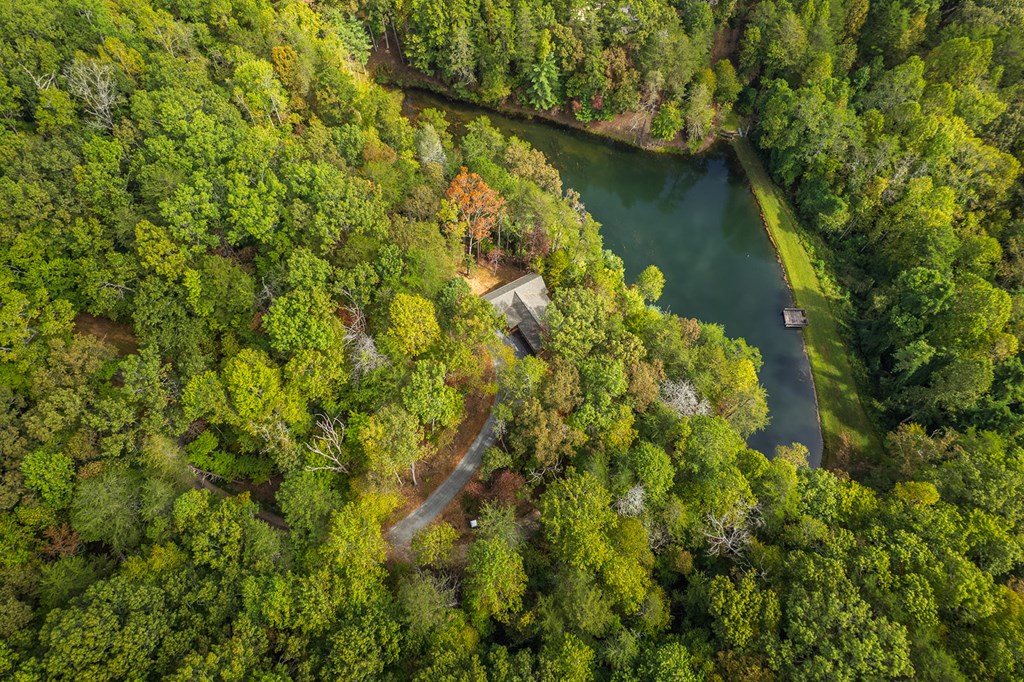 85 Moreland Trail