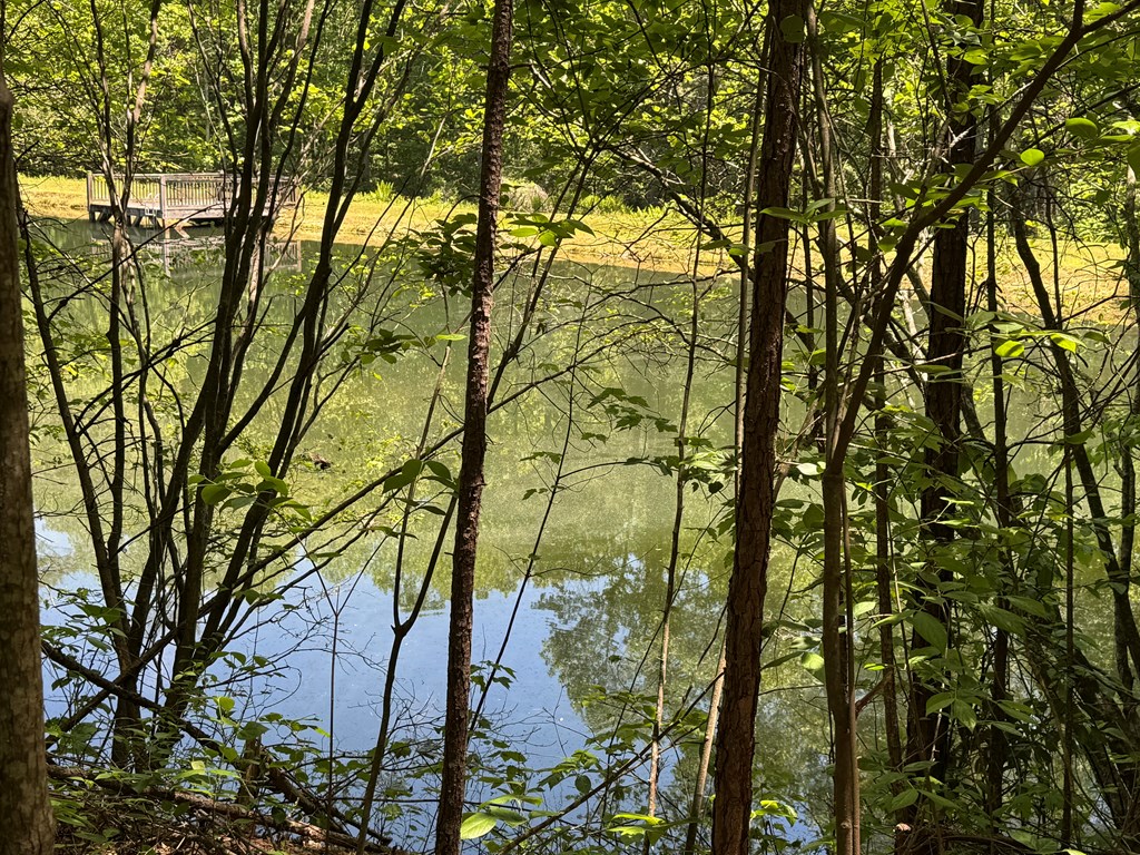 85 Moreland Trail