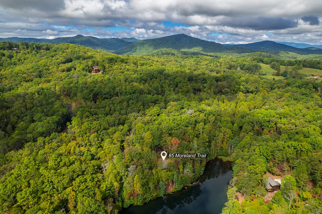 85 Moreland Trail