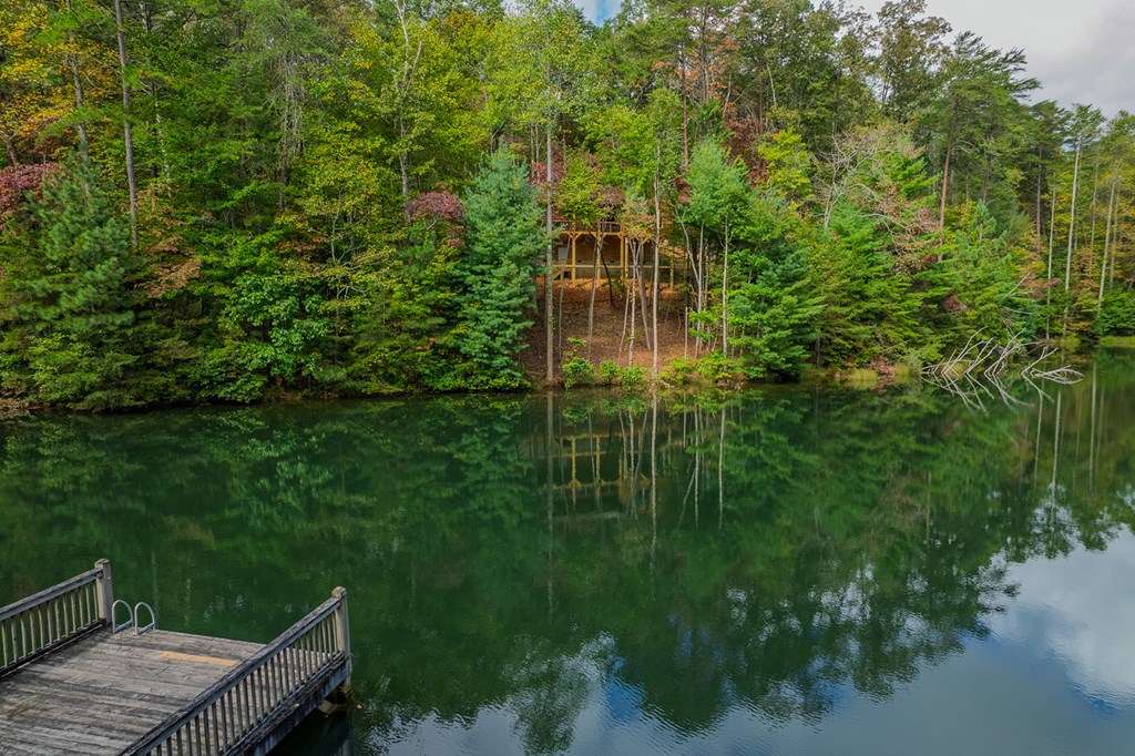 85 Moreland Trail