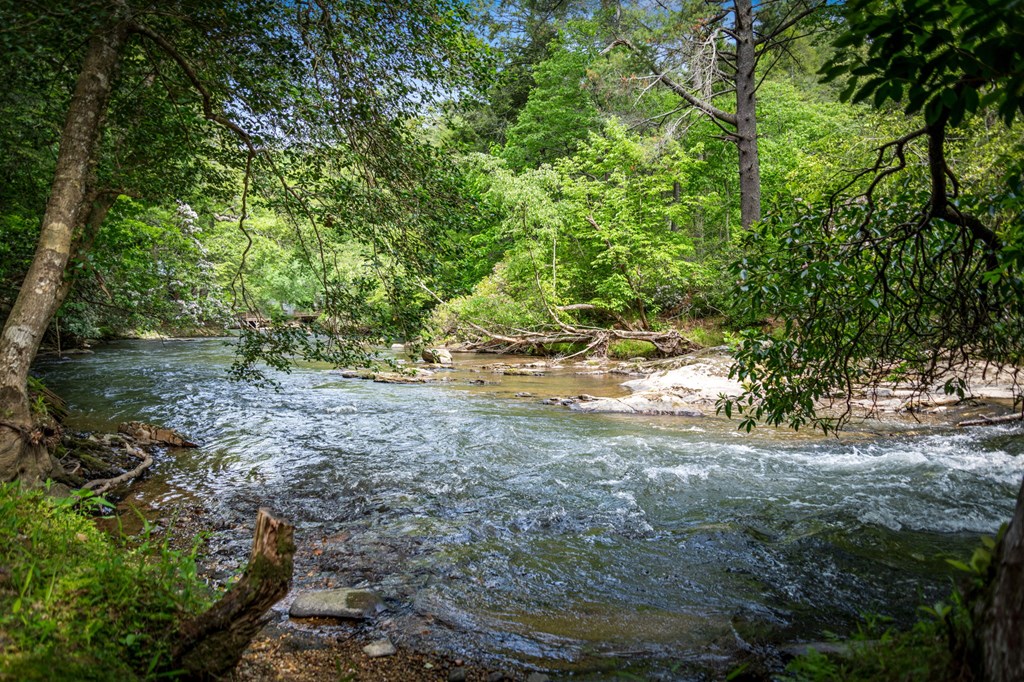 329 Blackberry Falls Lane