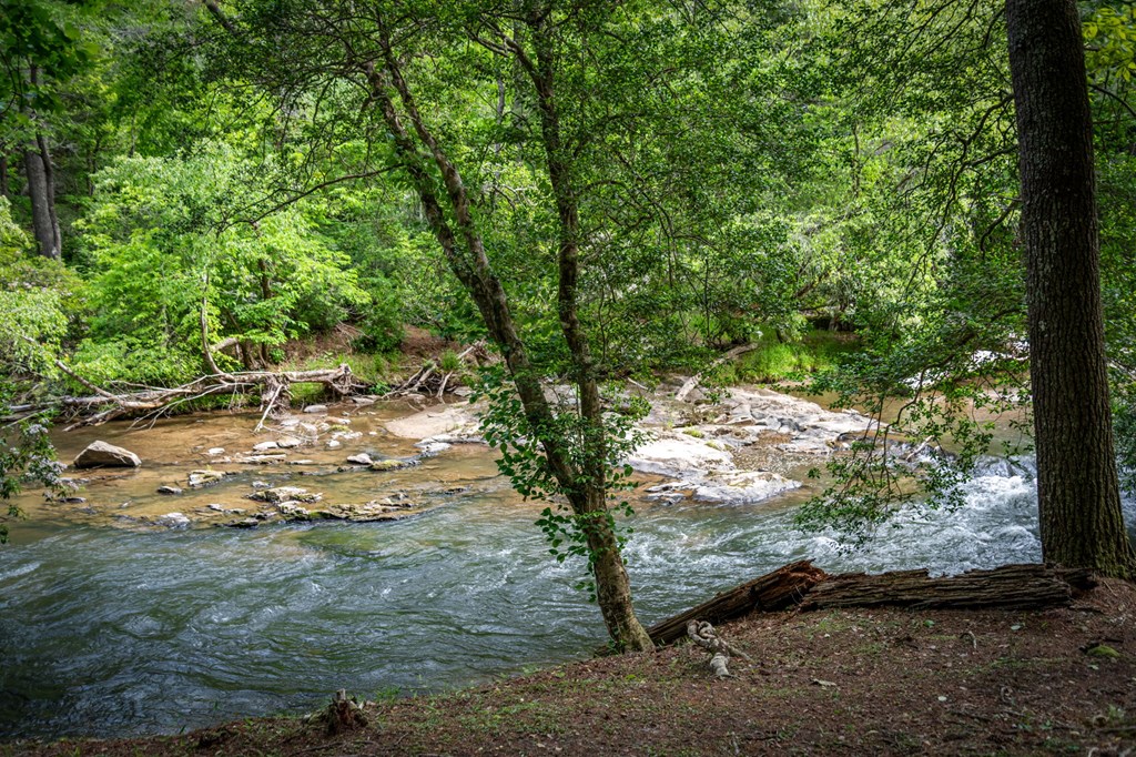 329 Blackberry Falls Lane