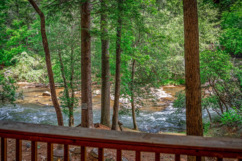 329 Blackberry Falls Lane