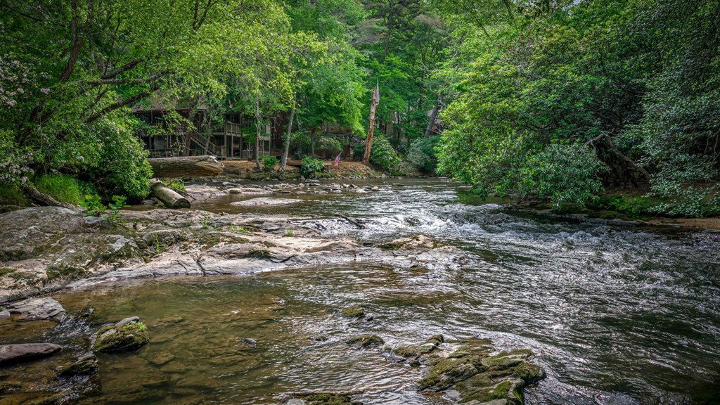 329 Blackberry Falls Lane