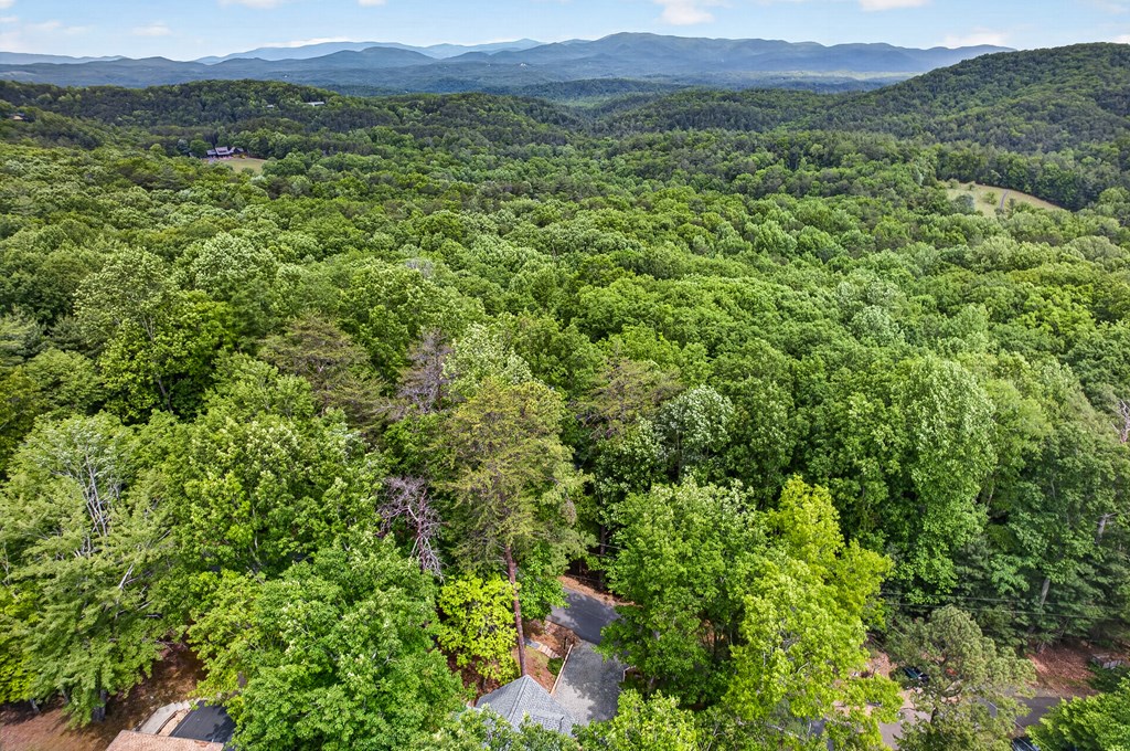 747 Mountain Oak Road