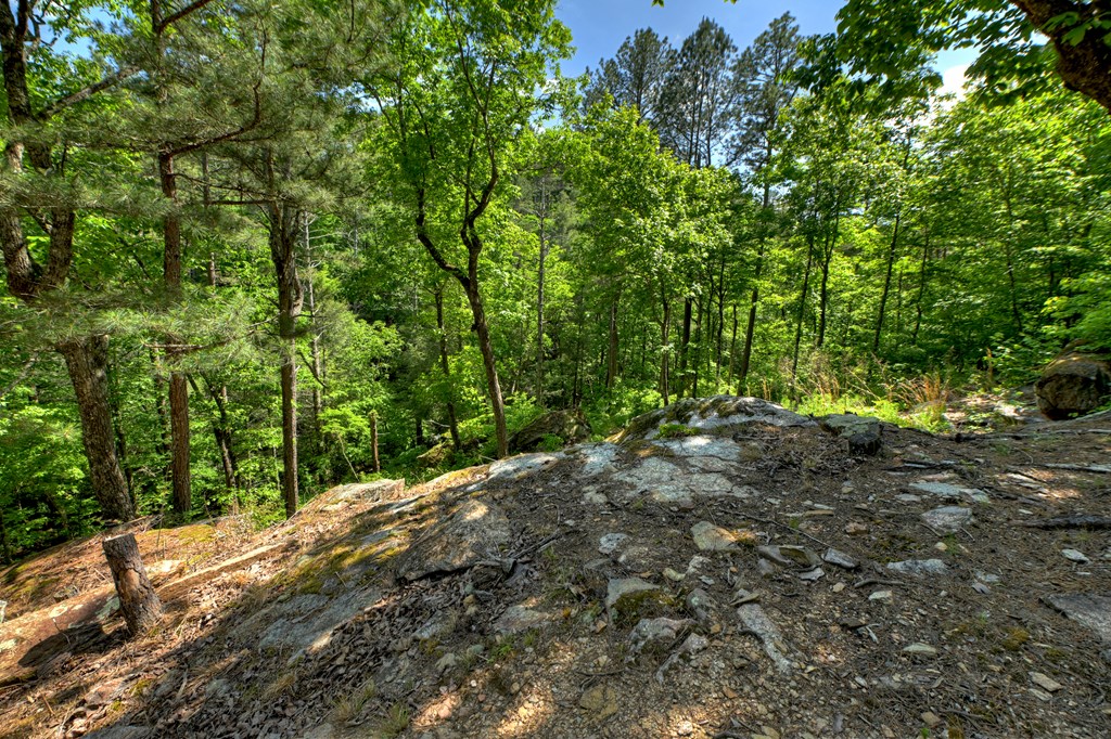 Lot 90R Mountain Creek Hollow Drive