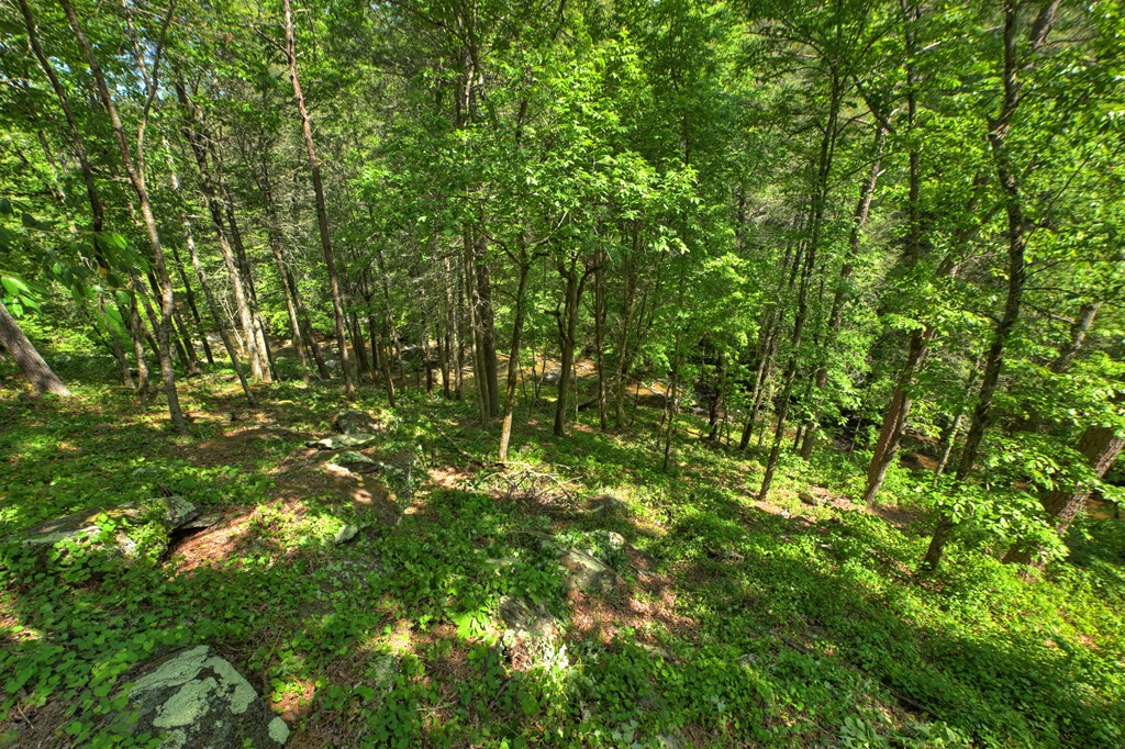 Lot 90R Mountain Creek Hollow Drive