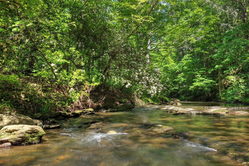 Lot 90R Mountain Creek Hollow Drive