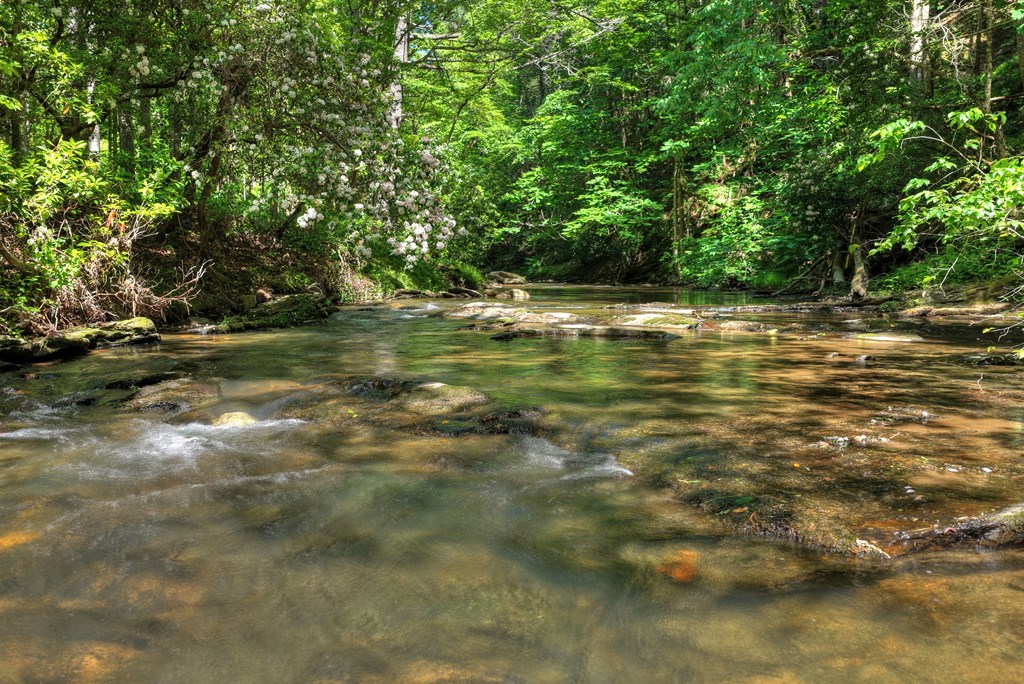 Lot 90R Mountain Creek Hollow Drive