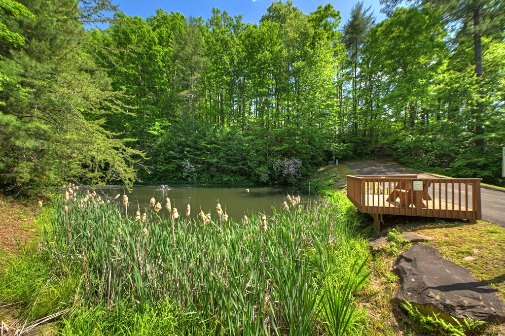 Lot 90R Mountain Creek Hollow Drive