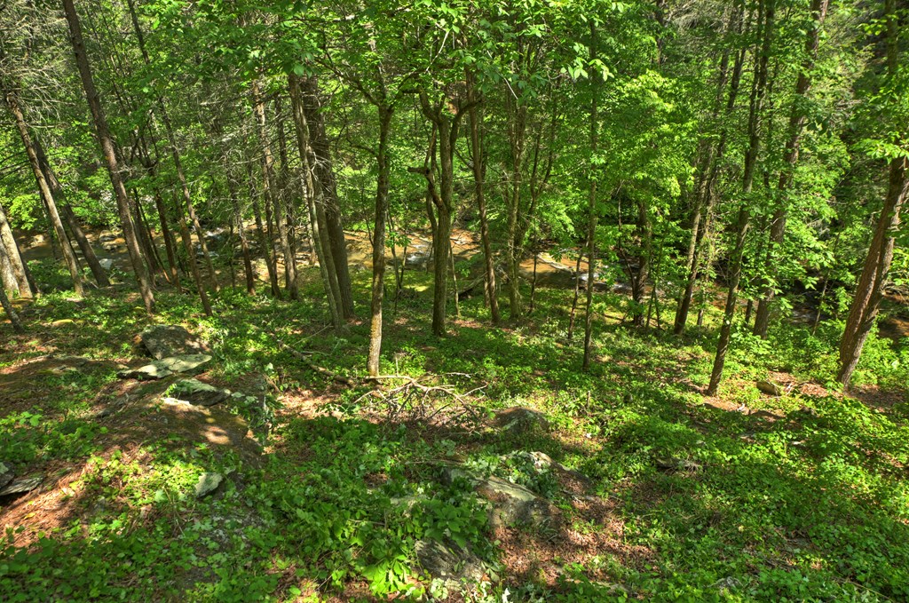 Lot 90R Mountain Creek Hollow Drive