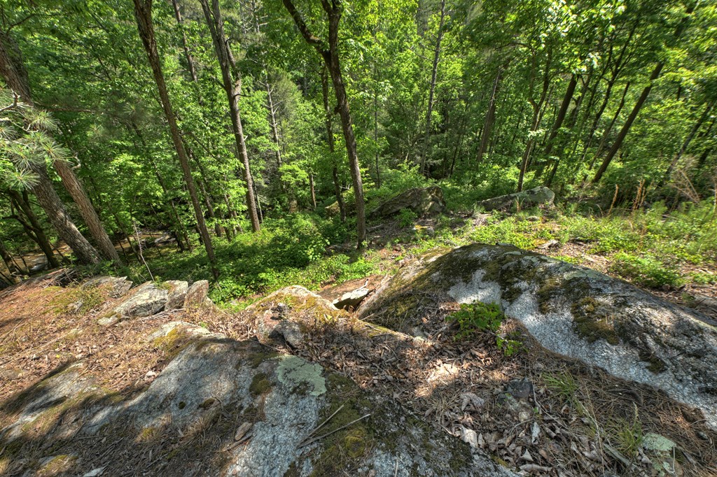 Lot 90R Mountain Creek Hollow Drive