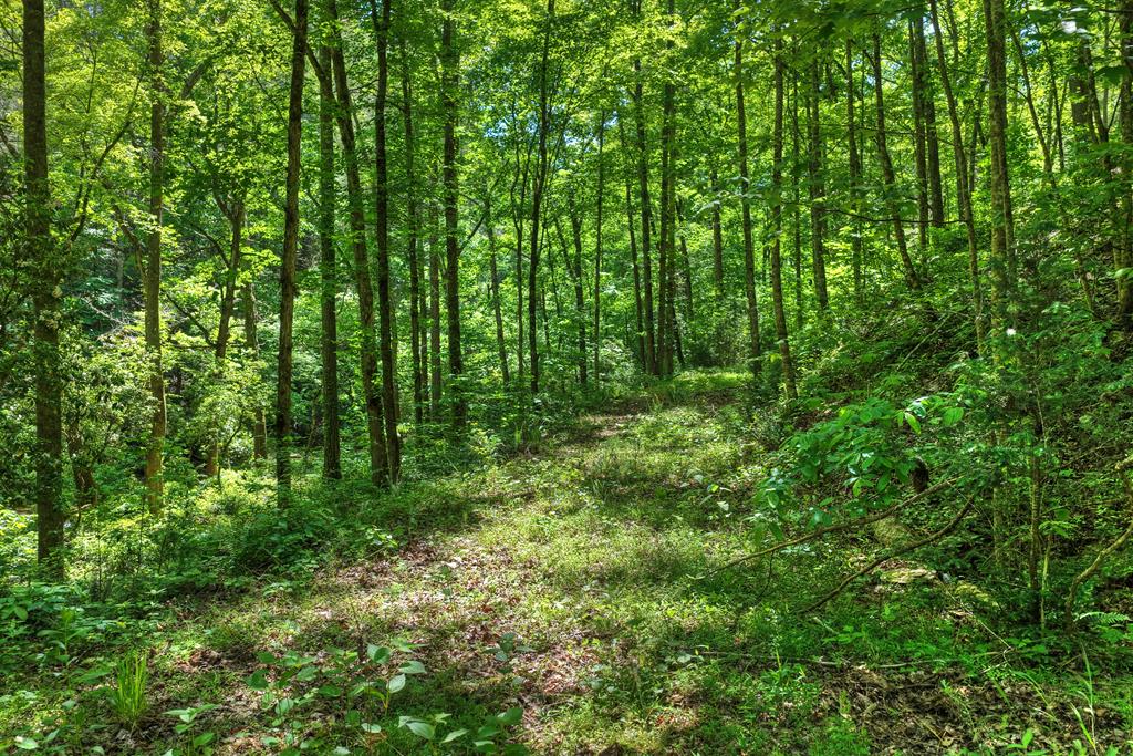 Lot 106 Mountain Creek Hollow Drive