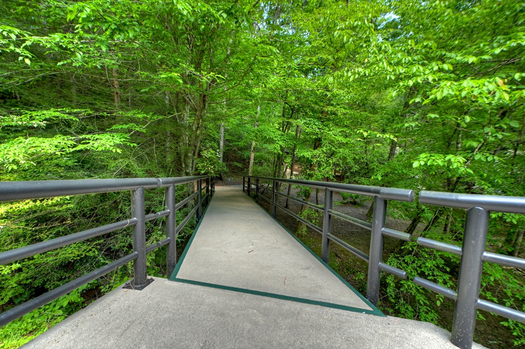 Lot 106 Mountain Creek Hollow Drive