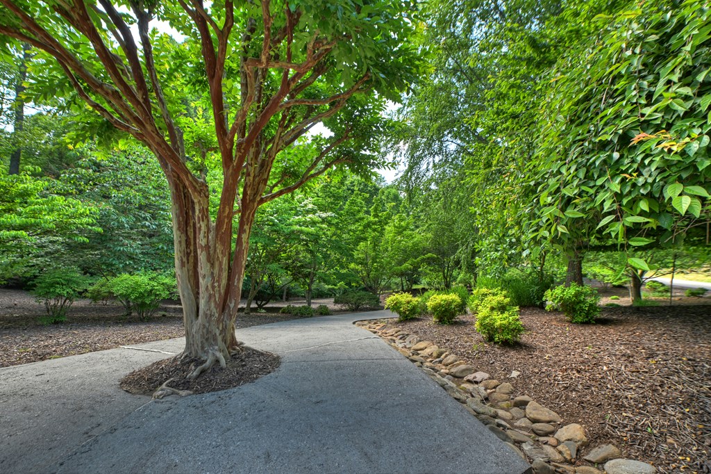 Lot 106 Mountain Creek Hollow Drive