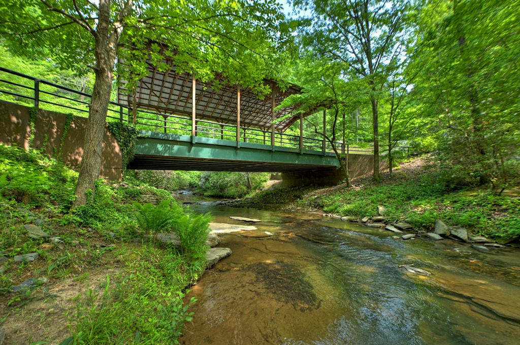 Lot 106 Mountain Creek Hollow Drive