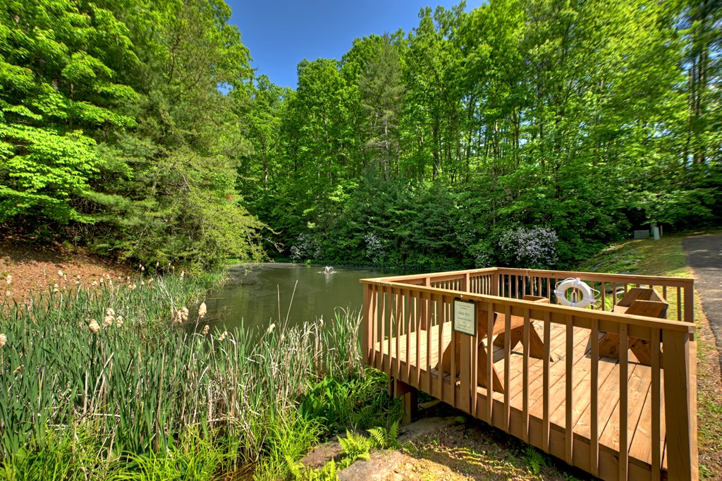 Lot 106 Mountain Creek Hollow Drive