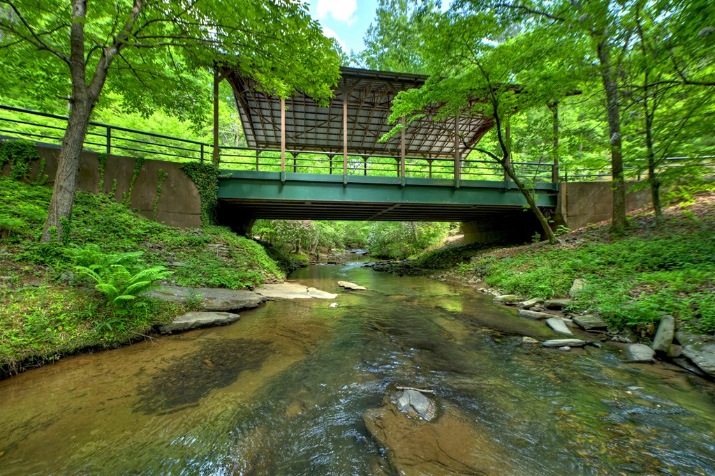 Lot 106 Mountain Creek Hollow Drive