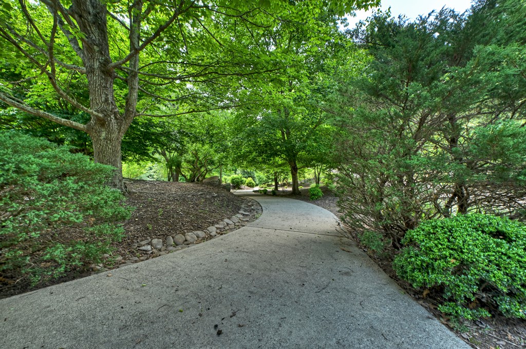 Lot 106 Mountain Creek Hollow Drive
