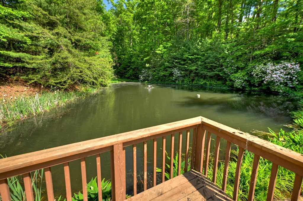 Lot 106 Mountain Creek Hollow Drive